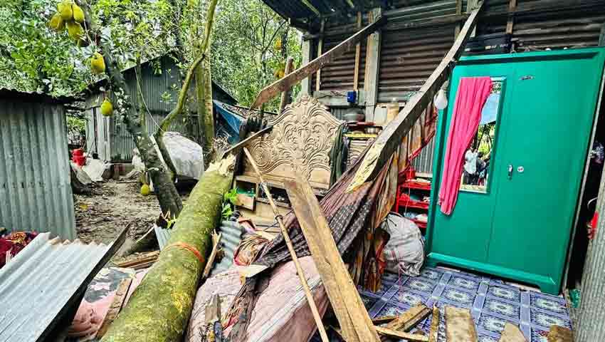 ‘গাছটা সরাসরি নাতির গায়ে পড়ে শেষ হয়ে গেল’