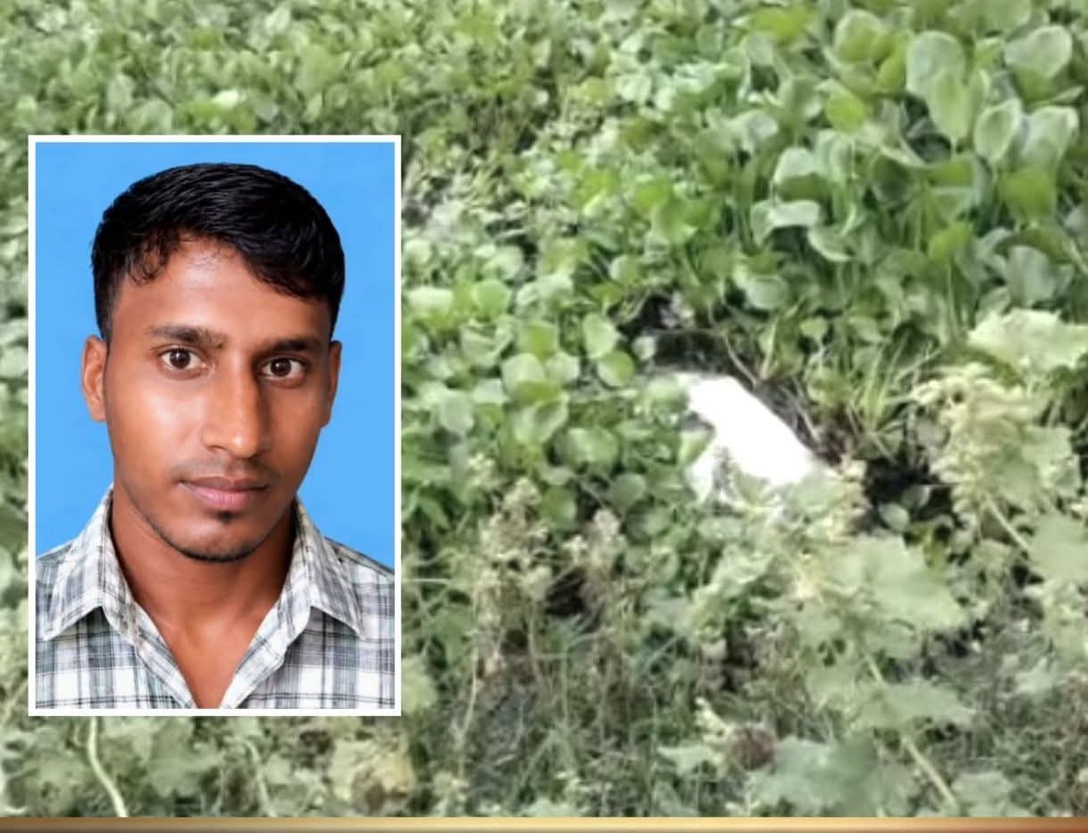 কালিহাতীতে বিল থেকে গলাকাটা মরদেহ উদ্ধার