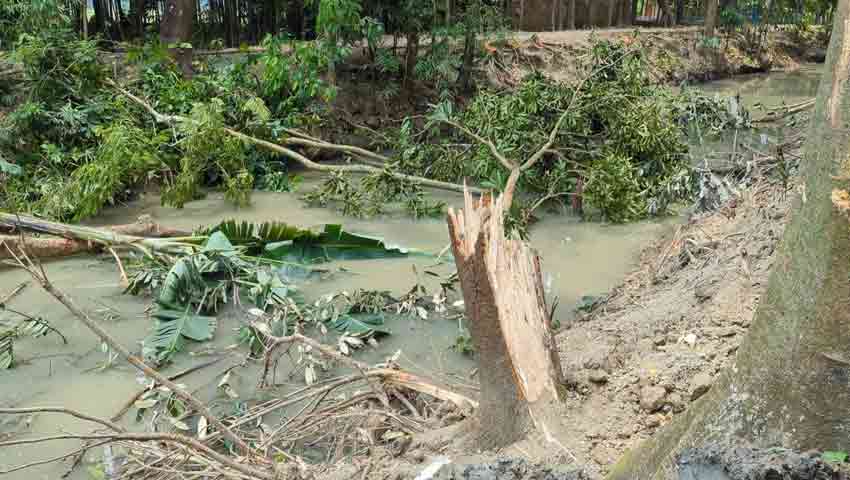 ভরা খাল রাতের আঁধারে খনন, আমতলীতে বিক্ষোভ 