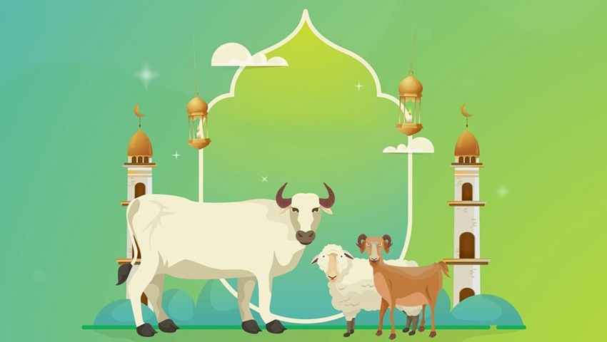 কোরবানির জরুরি মাসআলা  