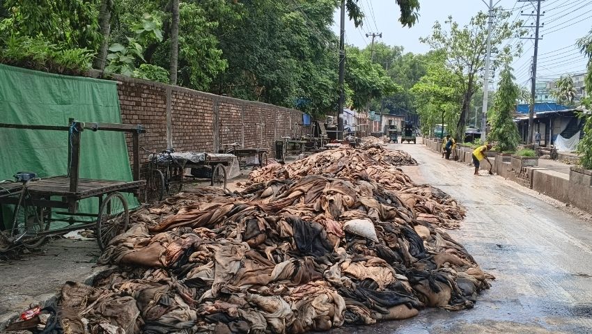 দাম না পেয়ে চামড়া রাস্তায় ফেলে গেলেন ব্যবসায়ীরা