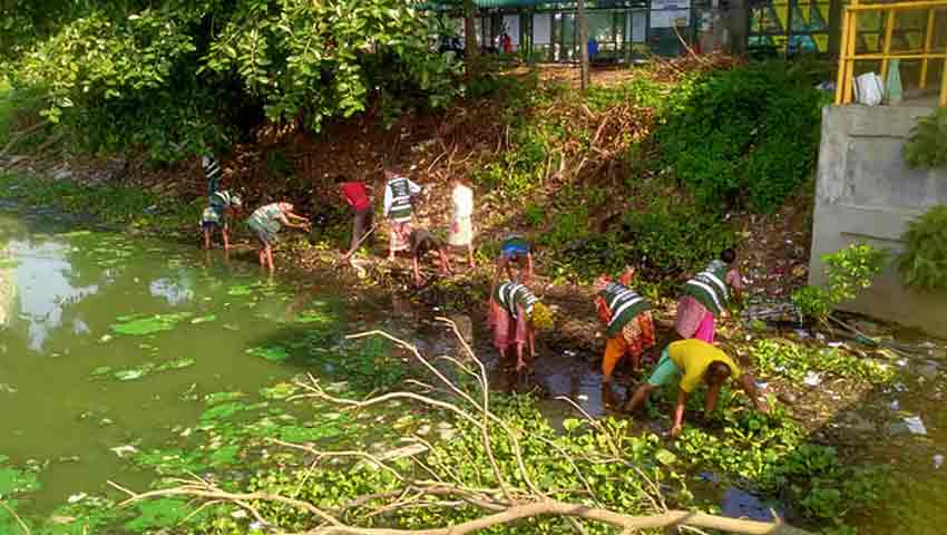 প্রধানমন্ত্রীর অসন্তোষের পর হাতিরঝিলে শুরু পরিচ্ছন্নতা অভিযান 