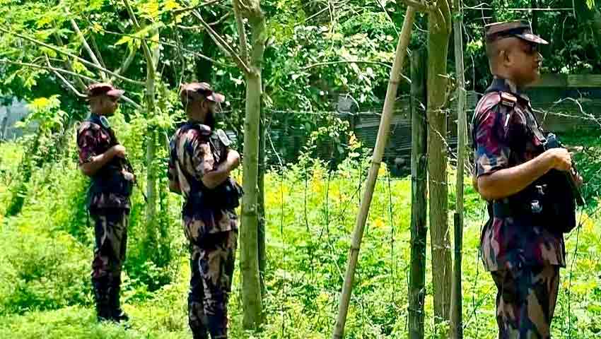 হিলি সীমান্তে পশুর চামড়া পাচার রোধে কঠোর নজরদারি