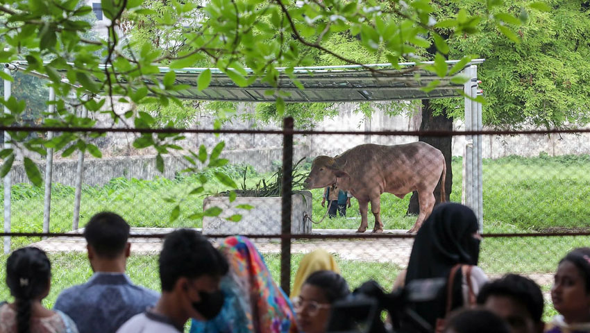 ছুটির শেষ দিনেও ‘ডোনাল্ড ট্রাম্পকে’ দেখতে দর্শনার্থীদের ঢল