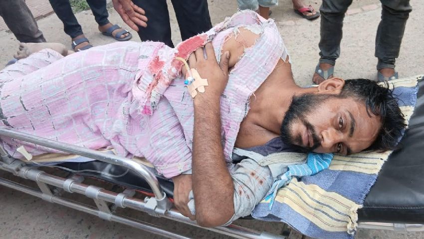 কালিগঞ্জ সীমান্তে বিএসএফের গুলিতে দুই বাংলাদেশি আহত