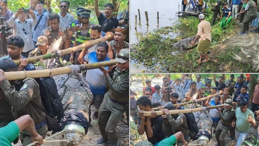 সরানো হলো খানজাহান আলী মাজারের সেই কুমিরটি