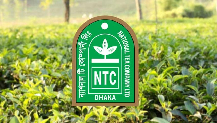 আর্থিক প্রতিবেদনে গুরুতর অনিয়ম ন্যাশনাল টির