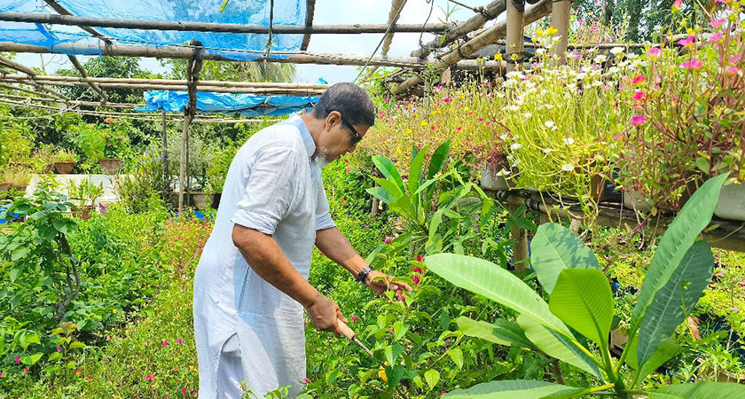 নিজের নার্সারিতে কাজ করছেন রাজন মাহমুদ।