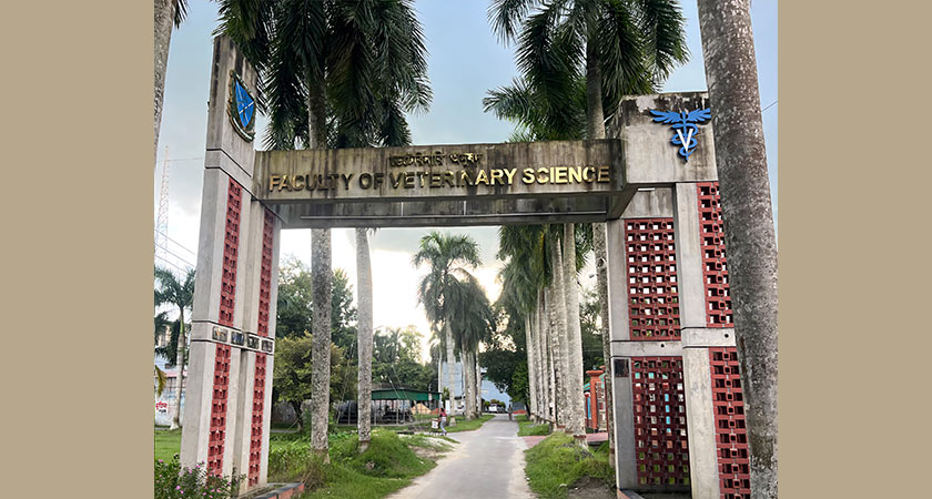 ভেটেরিনারি অনুষদ।