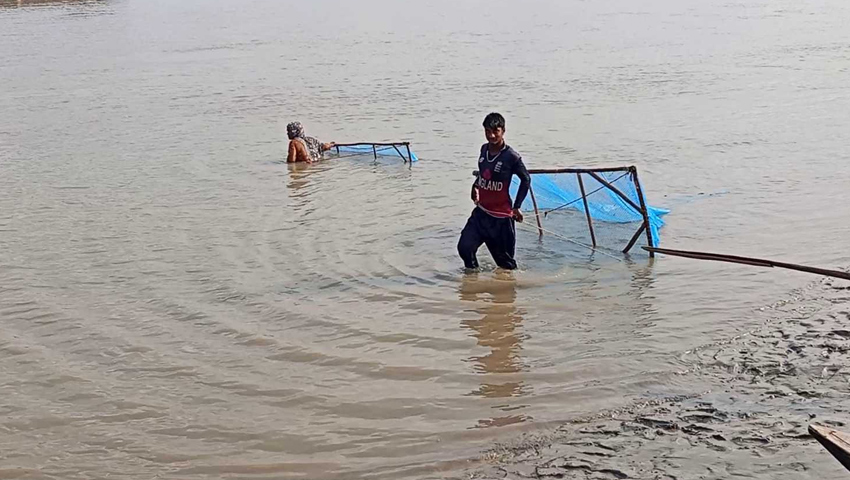 মাছ ধরতে গিয়ে কুমিরের আক্রমণে নারী নিহত