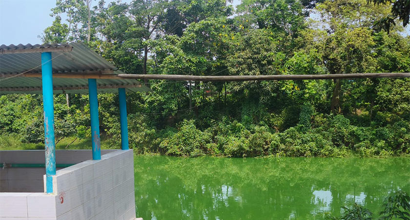 মসজিদের সামনের পুকুর, যেখানে বসে কবি লিখেছেন একাধিক কবিতা।