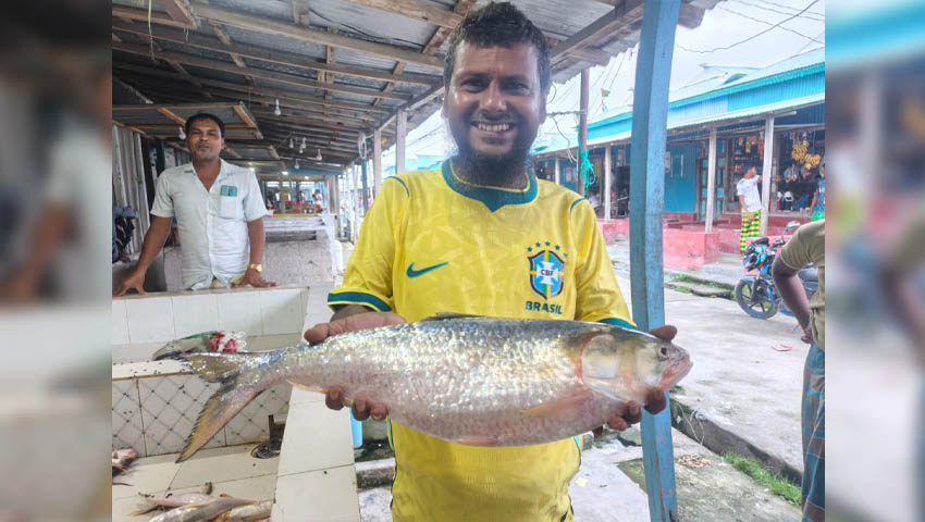 ৯ হাজার টাকায় বিক্রি হলো রাজা ইলিশ
