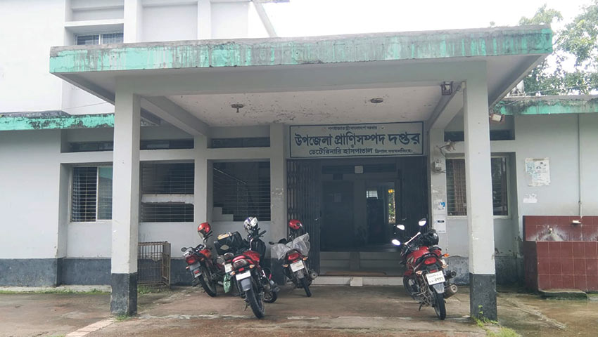 উপজেলা প্রাণিসম্পদ দফতর, ত্রিশাল, ময়মনসিংহ। ছবি : সময়ের আলো