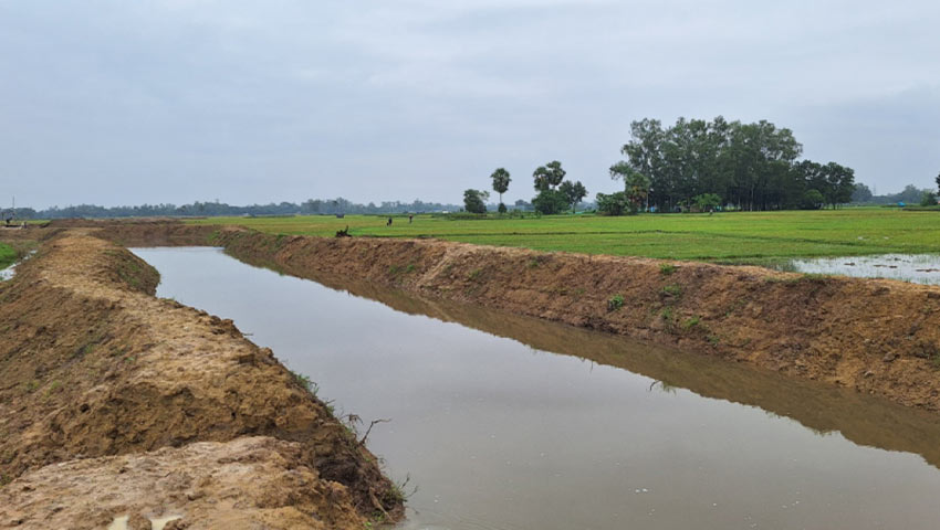 আদমদীঘিতে খাল খননে ফিরল কৃষির সুদিন
