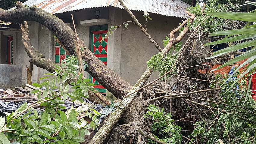 সোনাগাজীতে টর্নেডোতে ২০টি ঘর লন্ডভন্ড