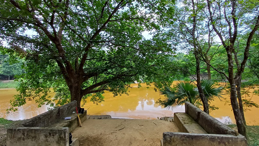 নুহাশপল্লীর শান্ত পুকুর। ছবি : সময়ের আলো