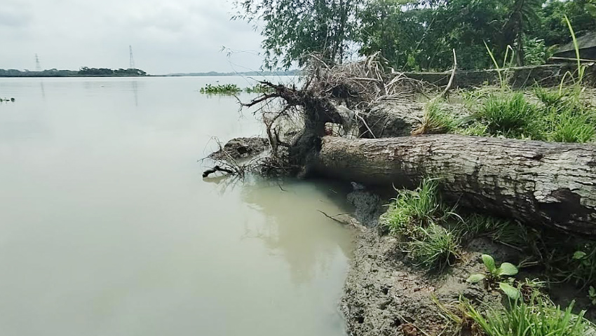 মানুষ মরলেও মিলছে না কবর, সুগন্ধার গ্রাসে একের পর এক গ্রাম