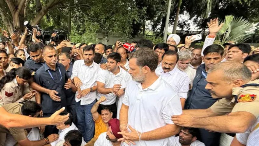 বিক্ষোভের কড়া সমালোচনা আম আদমি পার্টির, রাহুল গান্ধীর পাশে দাঁড়াল ‘তেলাপোকারা’