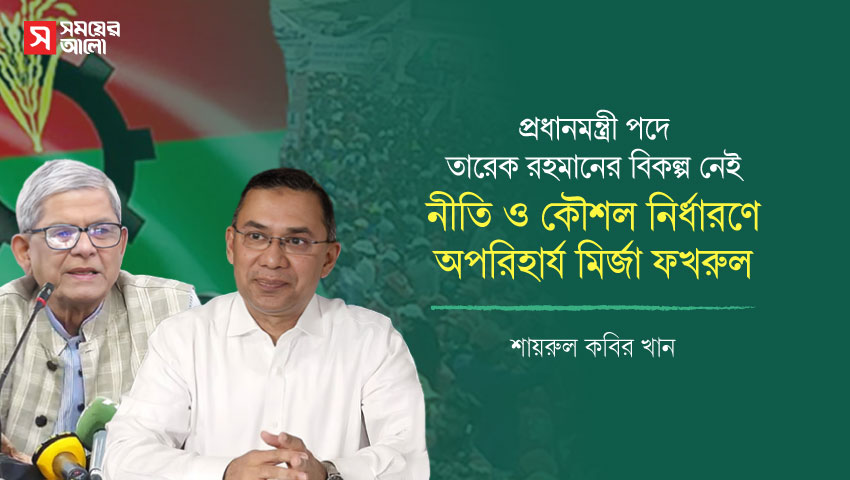 নীতি ও কৌশল নির্ধারণে অপরিহার্য মির্জা ফখরুল