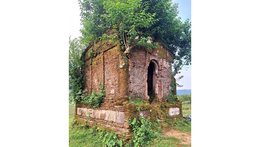 বিজয়নারায়ণ সিংহের সমাধি। ছবি : লেখক সৌজন্যে