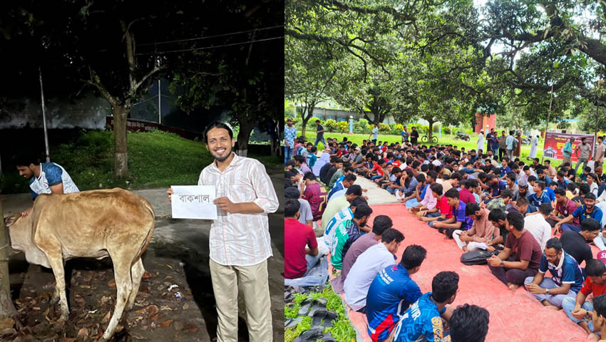 ‘বাকশাল’ জবাই করে রাবিতে ‘জুলাই জিয়াফত’
