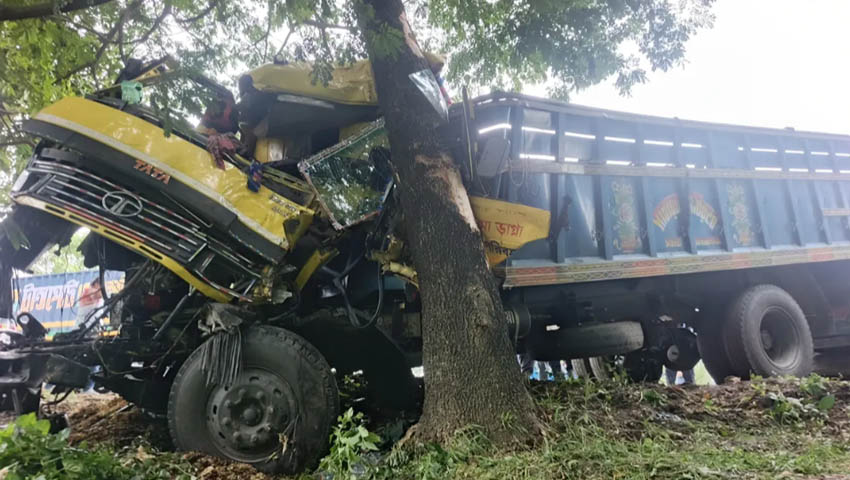 নিয়ন্ত্রণ হারিয়ে খাদে গরুবোঝাই ট্রাক, ব্যবসায়ী নিহত