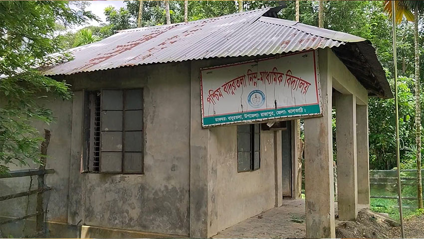 ছাগলের অবাধ বিচরণ, শিক্ষার্থী ছাড়াই চলছে স্কুল
