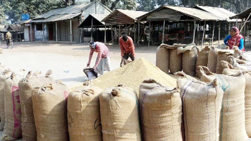 চাটখিলে ধান সংগ্রহের নামে অনিয়ম, বিপাকে কৃষক