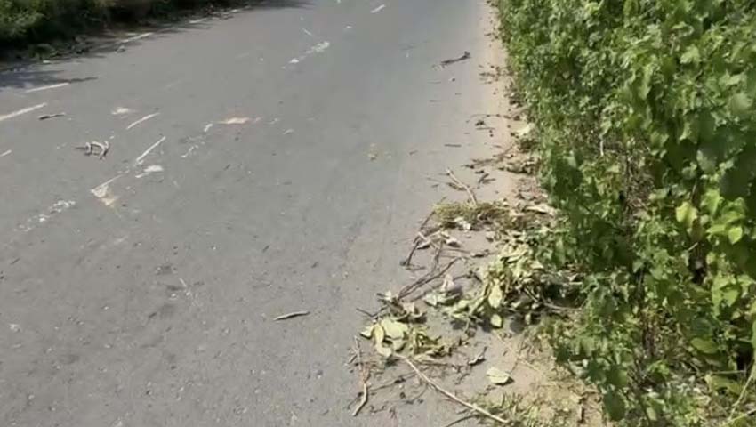 মাওয়া এক্সপ্রেসওয়েতে গাছ ফেলে দুই দফা ডাকাতি