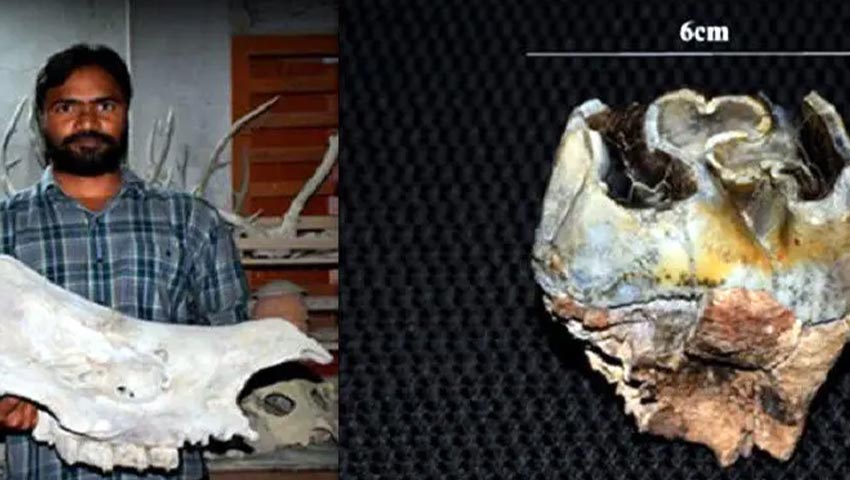 সুন্দরবন এলাকায় পাওয়া গন্ডারের ফসিল হাতে ইসমে আজম। ছবি : সংগৃহীত
