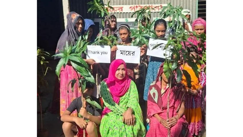 এ বছর মায়ের পাঠশালার ৩টি কেন্দ্রে মোট ১০০ জন মাকে আম্রপালী ও হিমসাগর আমের চারা উপহার দিয়েছেন তিনি। ছবি : সৌজন্য