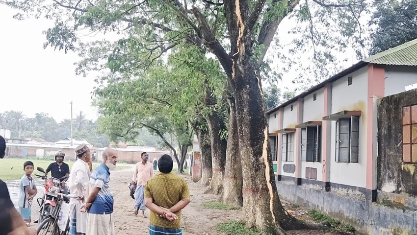 হঠাৎ স্কুলে বজ্রপাত, আলোর ঝলকানি আর বিকট শব্দে জ্ঞান হারায় ৭ শিক্ষার্থী 