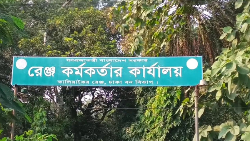 পাহারার মধ্যেও থামছে না সরকারি বনের গাছ কাটা