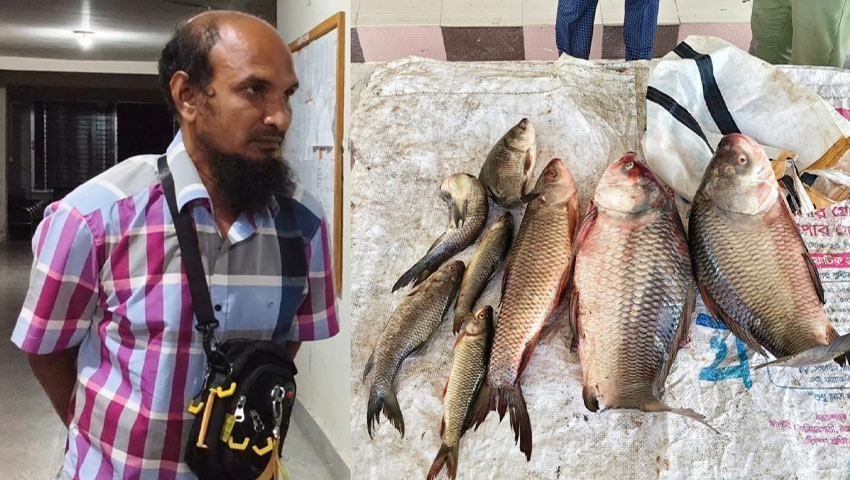 সরকারি পুকুরের মাছ ধরে বাড়ি নেওয়ায় খাদ্য কর্মকর্তা আটক