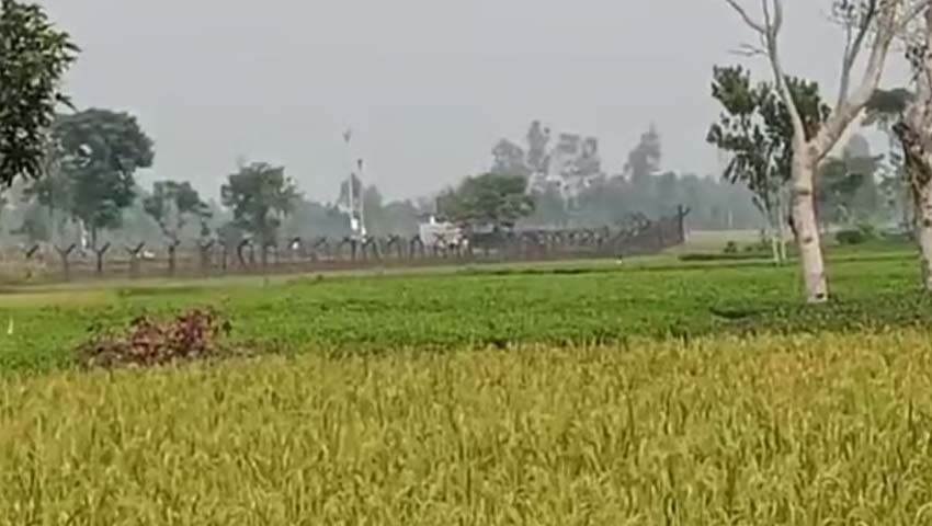 ১২ জনকে পুশইনের চেষ্টা, রুখে দিলো বিজিবি