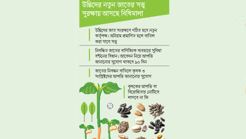 বীজের যাচাই ডিএনএতে
