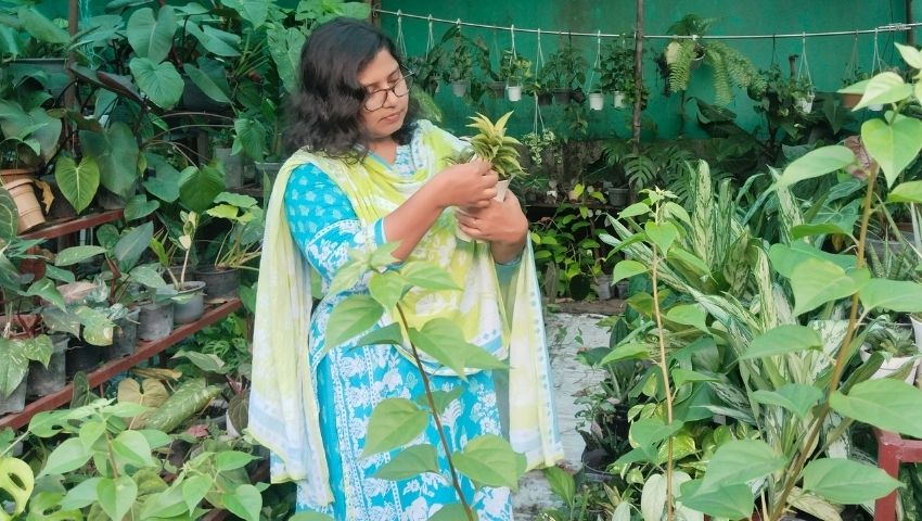 বারান্দা থেকে শখের বাগান, তানজিলার মাসিক আয় দুই লাখ টাকা