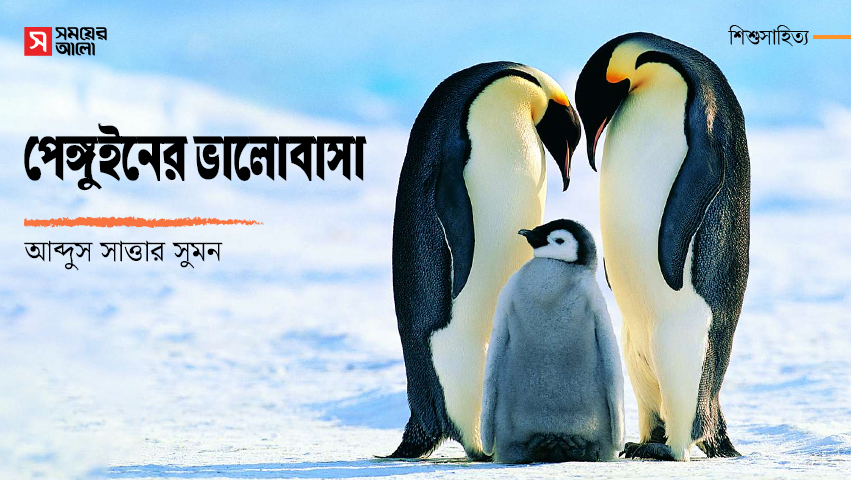 পেঙ্গুইনের ভালোবাসা